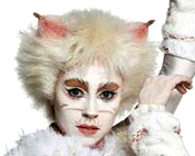 Victoria, die weiße Jellicle-Katze - Eine Rubrik nur für die Katze.